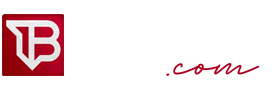 Techbossu Logo